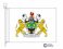 acheson coat of arms flag