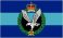 army air corps camp flag