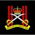 army physical training corps camp flag