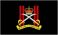 army physical training corps camp flag