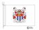 backwell coat of arms flag