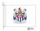 bagwell coat of arms flag