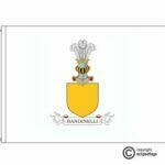 bandinelli coat of arms flag
