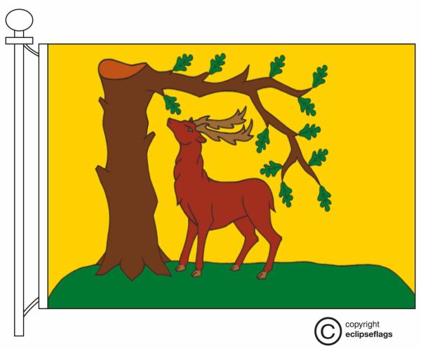 Berkshire Flag