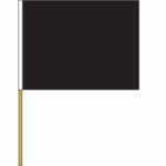 Penalty Disqualification Flag