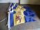 Custom Burgee Flags