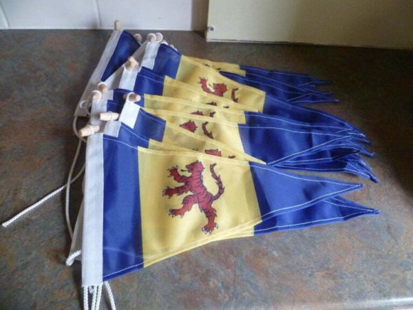 Custom Burgee Flags