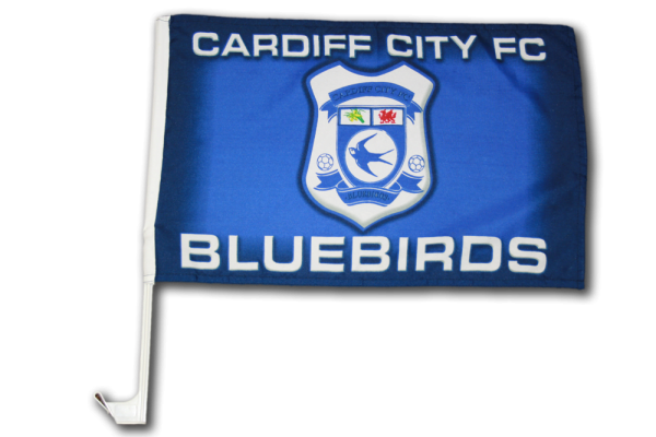 cardiff_bluebirds1