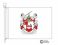 chapman coat of arms flag