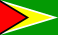 co operative republic of guyana flag