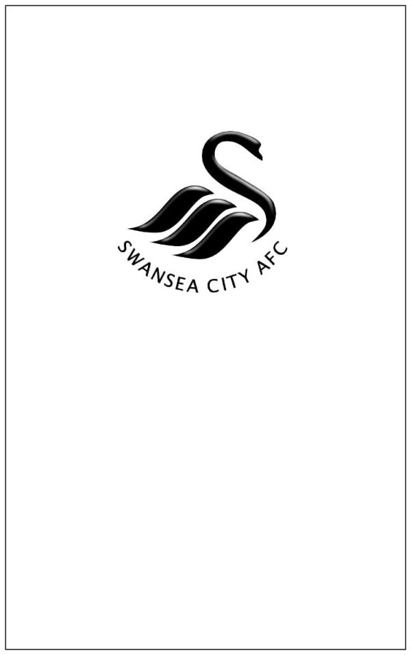 Swansea City Coffin Cover