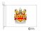 davison coat of arms flag