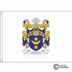 drzewica coat of arms flag