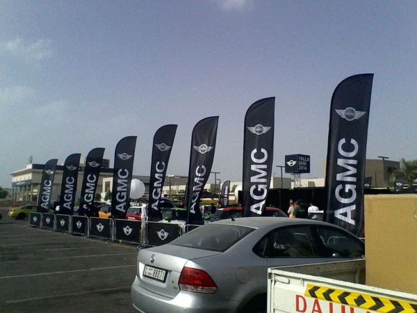 feather-heavy-flags_1