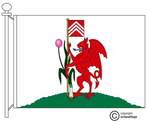 Flag of Cardiff