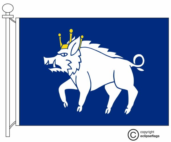 Flag of Kingswinford