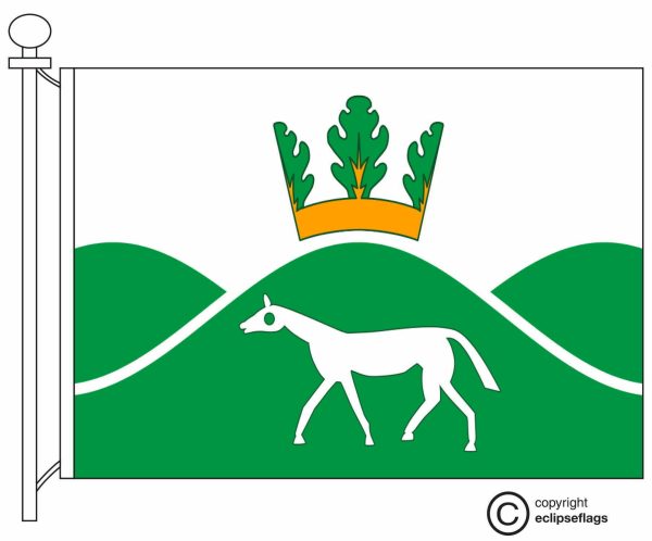 Flag of Pewsey