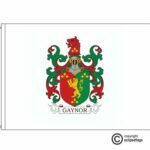 gaynor coat of arms flag