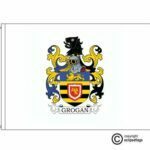 grogan coat of arms flag