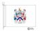 hand coat of arms flag