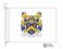hinson coat of arms flag
