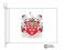 ireland coat of arms flag