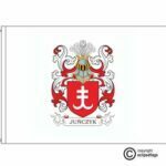 junczyk coat of arms flag