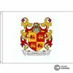 llewellyn coat of arms flag