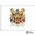 noble coat of arms flag