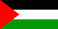palestine flag