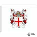 pile coat of arms flag