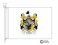 piper coat of arms flag