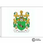 pluzyca coat of arms flag
