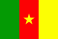 republic of cameroon flag