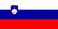 republic of slovenia flag