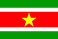 republic of suriname flag