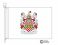 rochester coat of arms flag