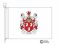 ryan coat of arms flag