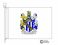 saunderson coat of arms flag
