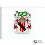 southern coat of arms flag