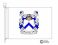steely coat of arms flag
