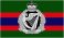 the royal irish regiment camp flag