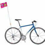 Bike Flags
