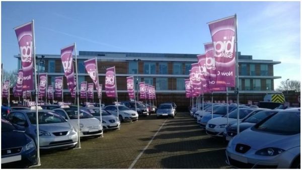 pro-professional-flags