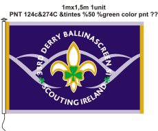 Scouts Flags