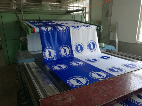 Brighton-hand-flags (2)